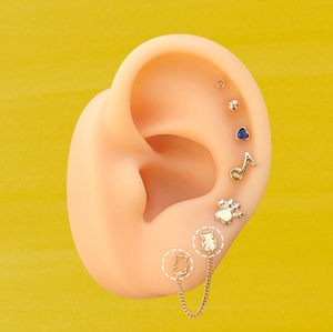 BEAR CHAIN STUD SOLID GOLD 10K